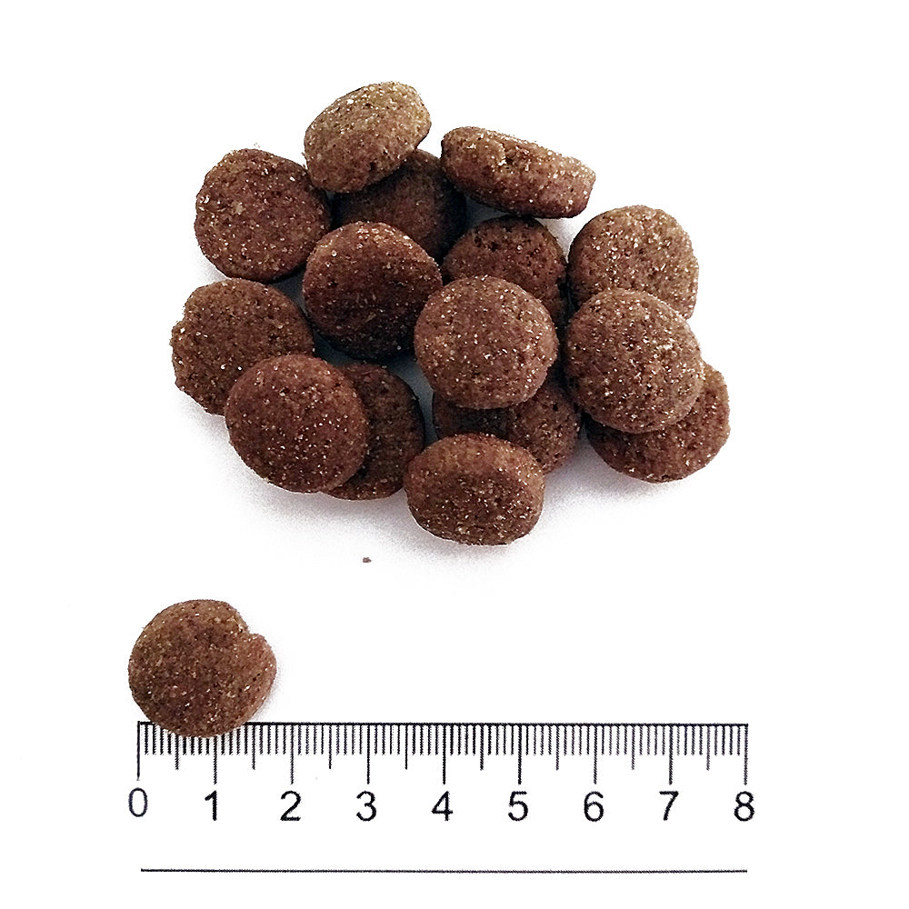 Sacco da 12 kg di crocchette Prolife Smart Adult Medium Large al pollo e riso per cani adulti taglia media e grande Sacco da 12 kg di crocchette Prolife Smart Adult Medium Large al pollo e riso per cani adulti taglia media e grande